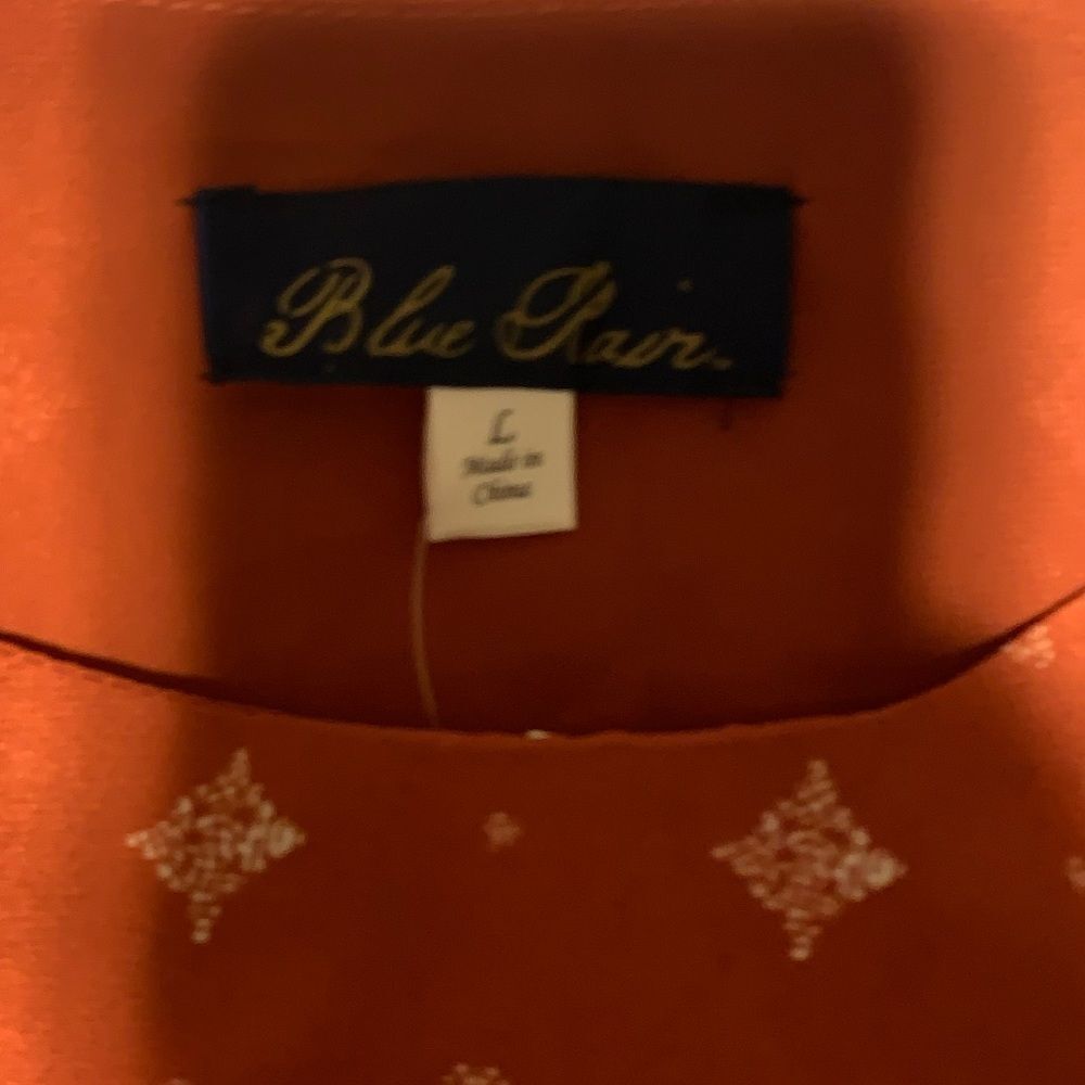 Francesca’s burnt orange top- large - Picture 5 of 9